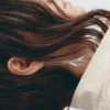 Σκουλαρίκια με κρεμαστά φύλλα Σκουλαρίκια με κρεμαστά φύλλα